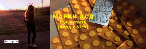 трава Арсеньев