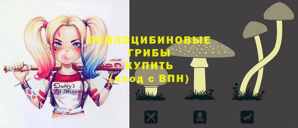 трава Армянск