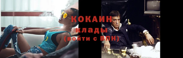трава Арсеньев