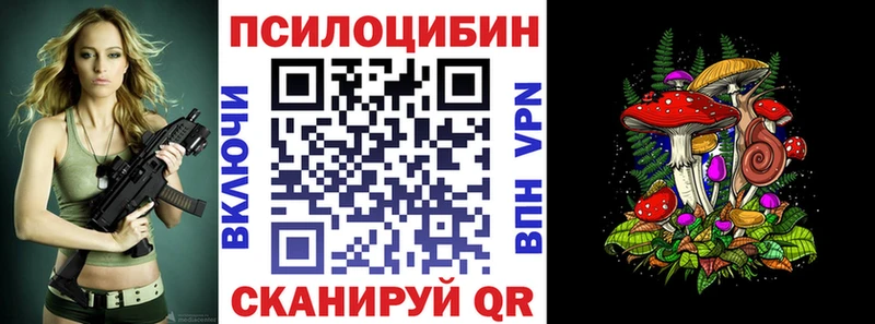 цена наркотик  Тавда  Псилоцибиновые грибы ЛСД 